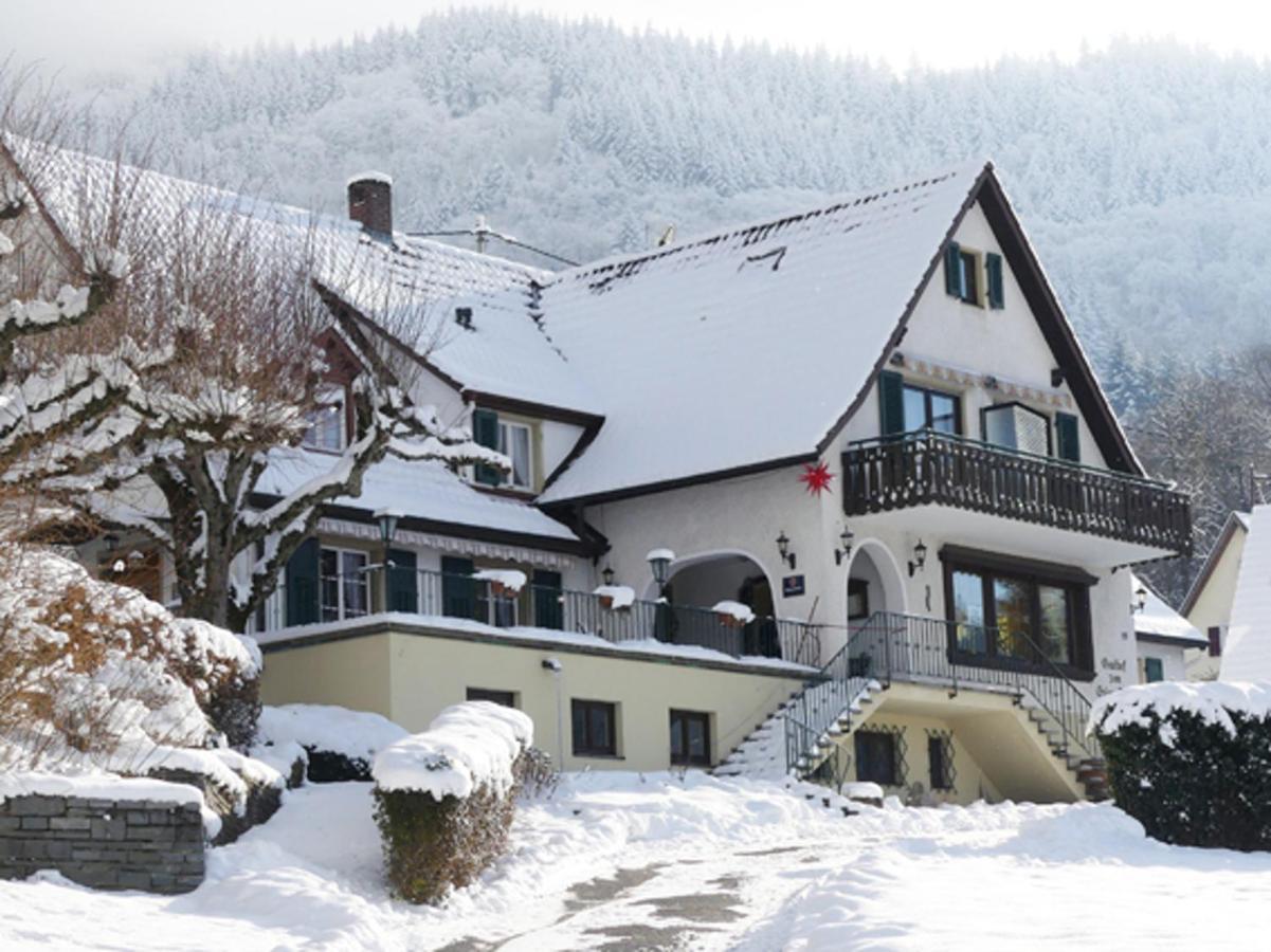 Landgasthof Gruener Baum Badenweiler Exteriér fotografie