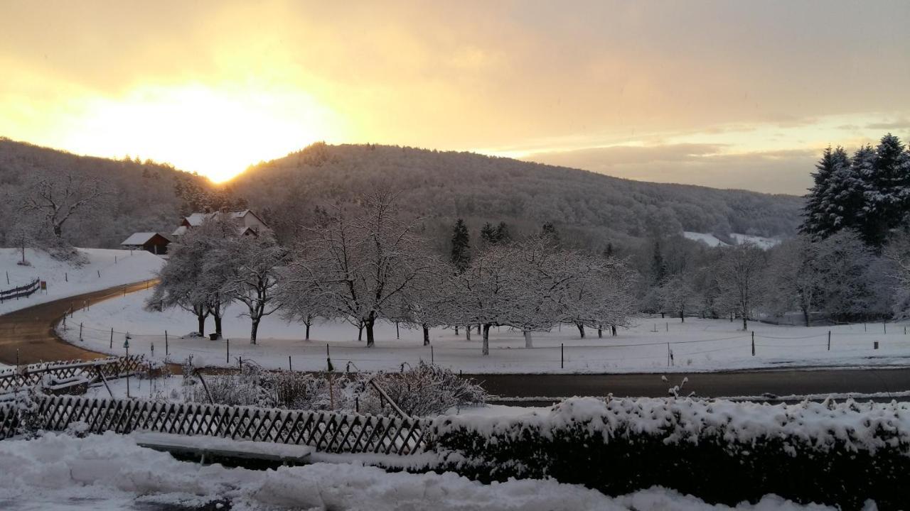 Landgasthof Gruener Baum Badenweiler Exteriér fotografie