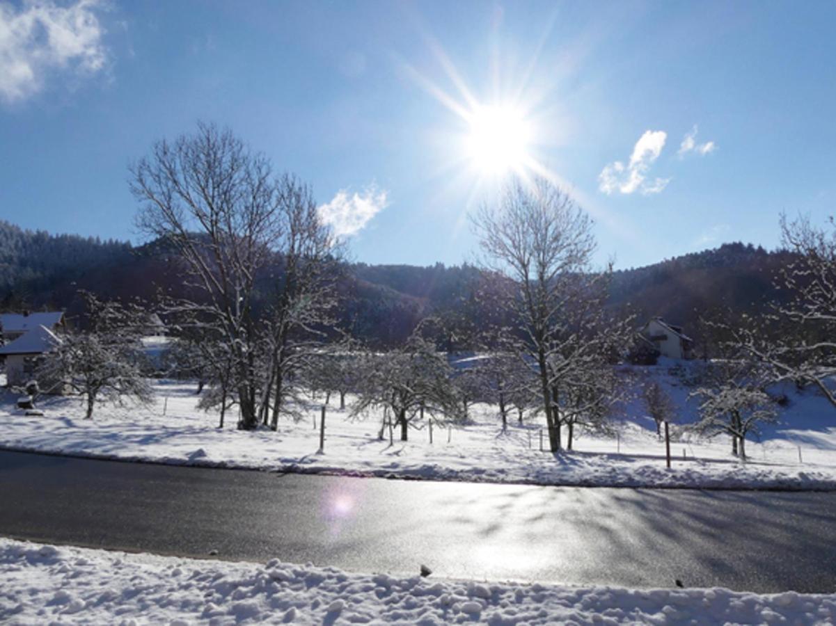 Landgasthof Gruener Baum Badenweiler Exteriér fotografie